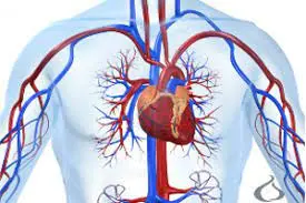 کلینیک تخصصی قلب دکتر ضربان