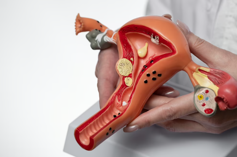 پزشک متخصص زنان و زایمان آنلاین