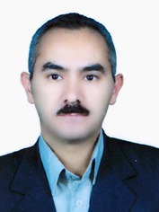 دکتر نادر انوشه