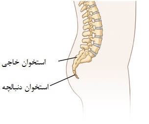 برای درد دنبالچه به چه دکتری باید مراجعه کرد