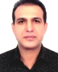 دکتر محمدمهدی  امینی