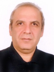 دکتر محمدمهدی معدنی پور
