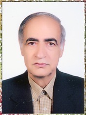 دکتر سیدمصطفی جلالی طباطبائی