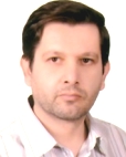 دکتر غلامرضا  محمودی